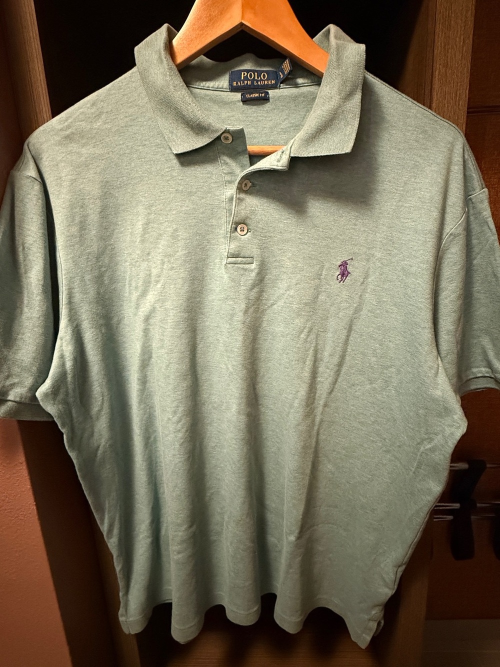 Polo by Ralph Lauren Light Green Polo with Purple Pony